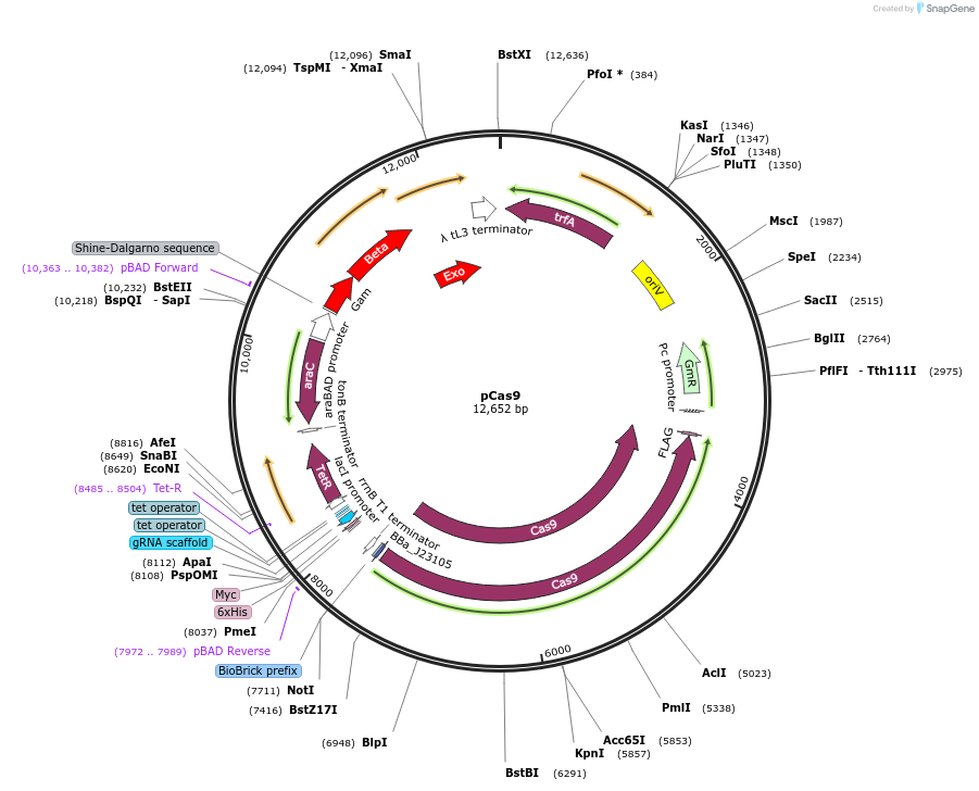 446029_map