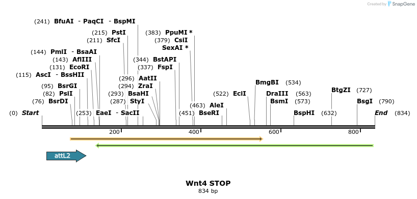 44603_map