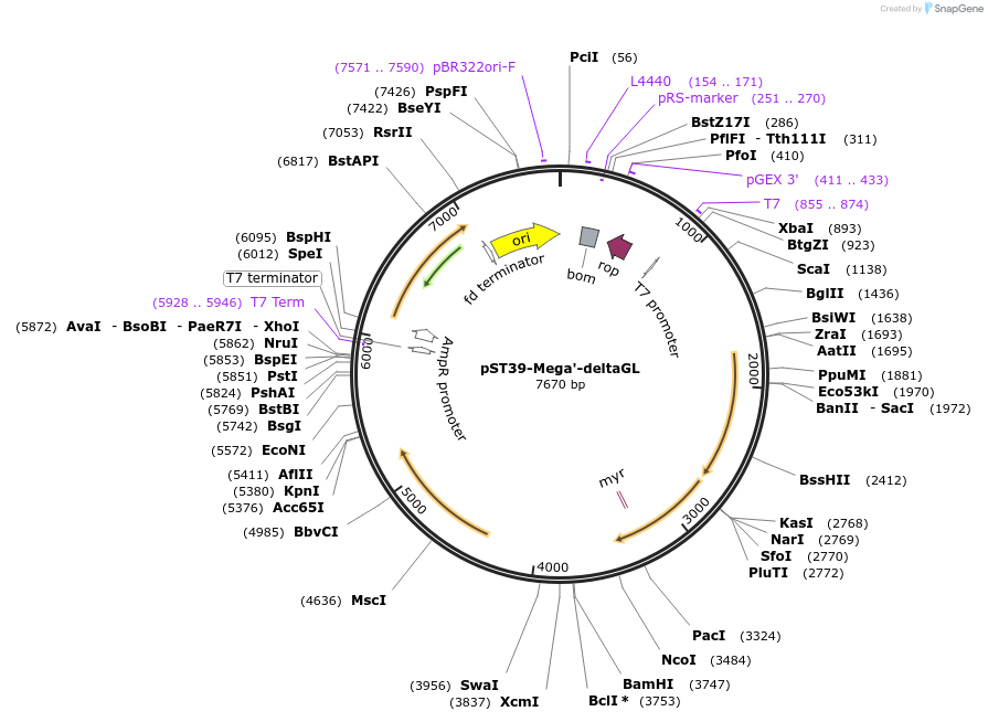 446030_map