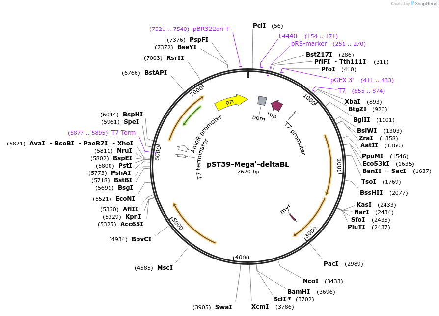 446033_map