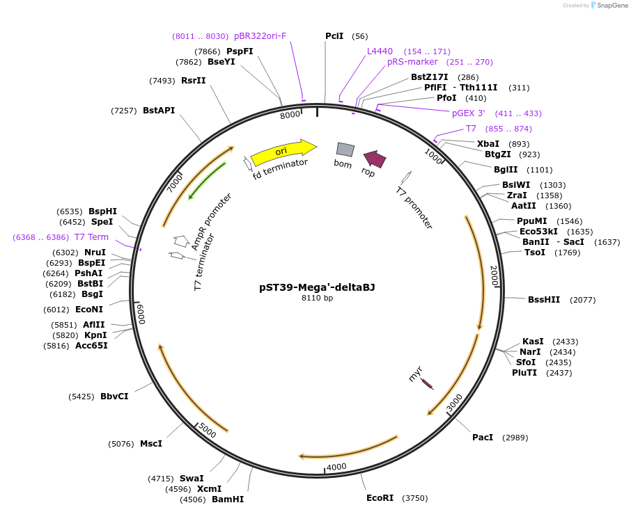 446034_map