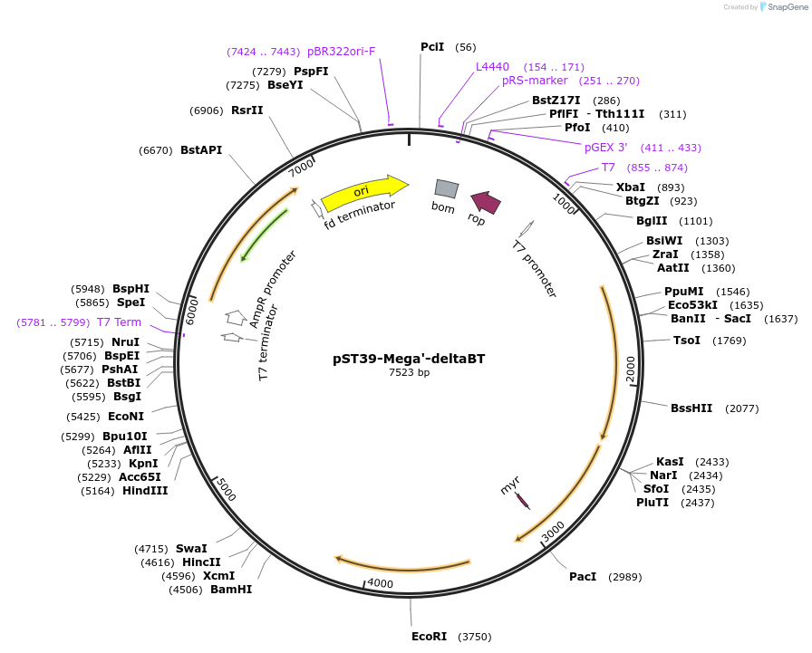 446035_map