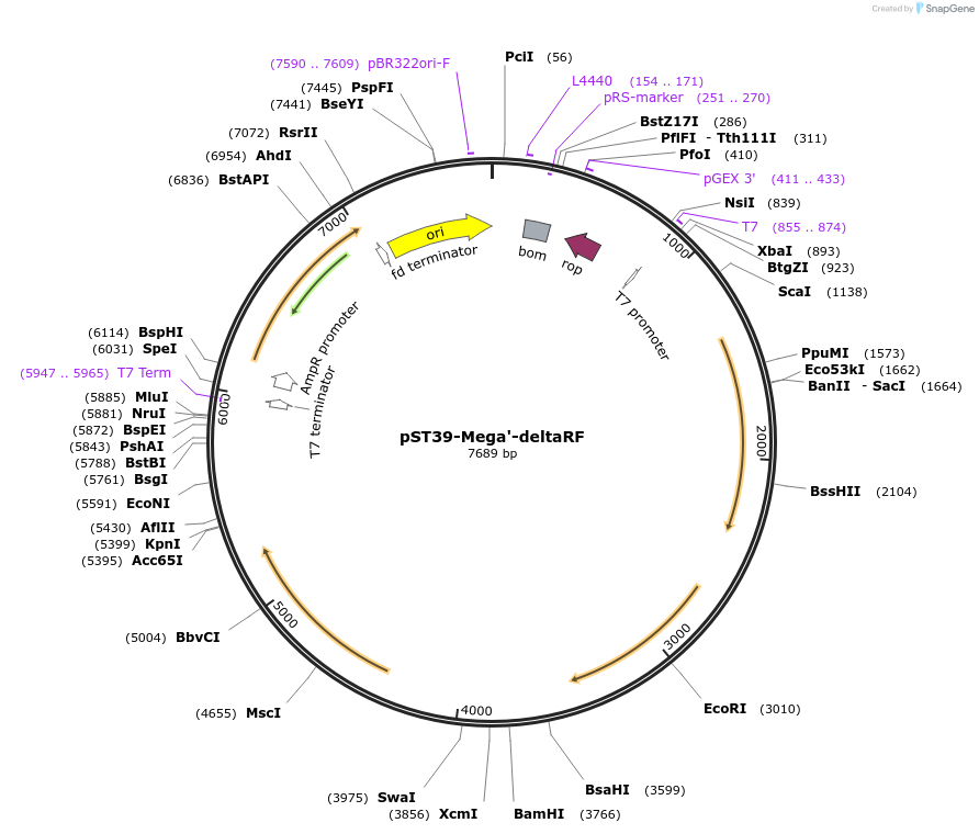 446038_map