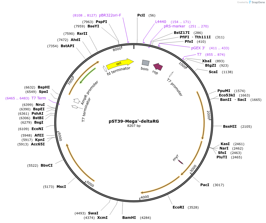 446039_map