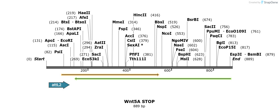 44604_map