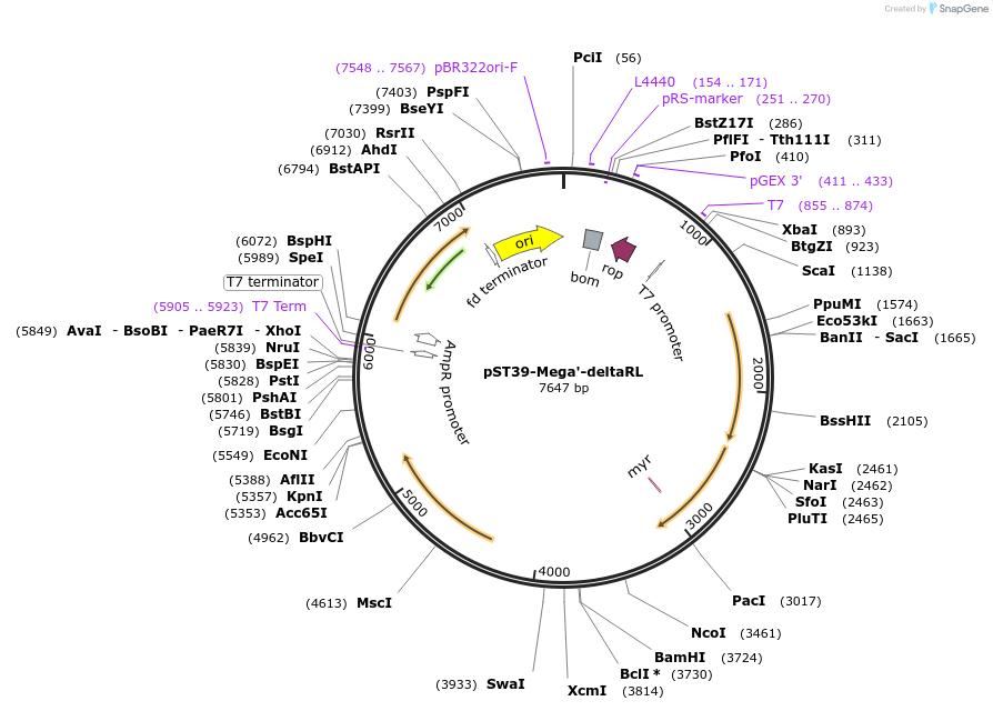 446040_map