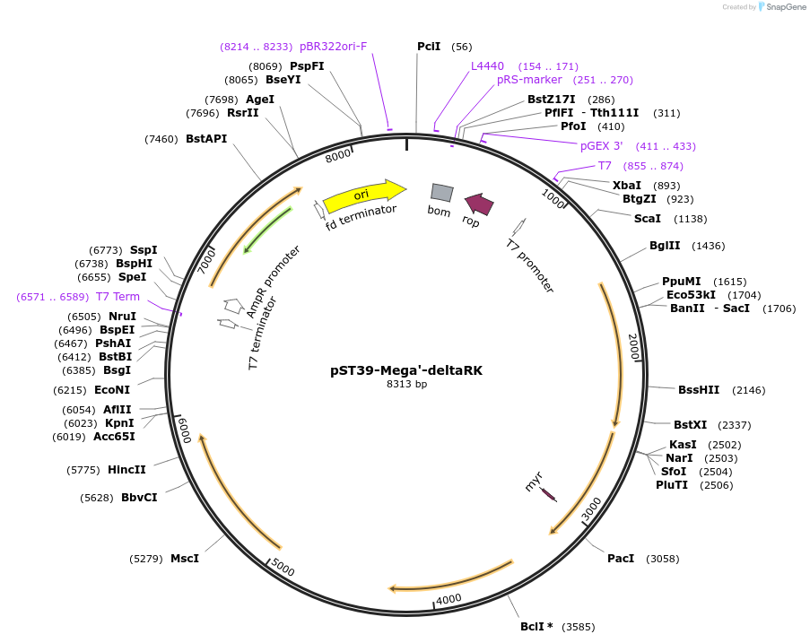 446041_map