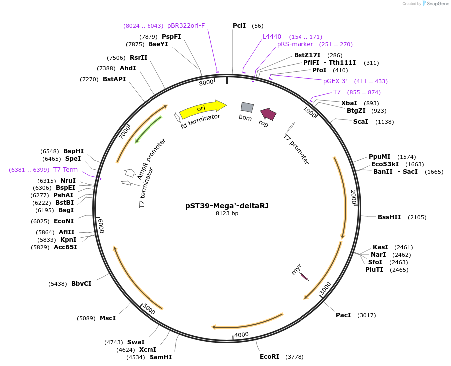 446042_map