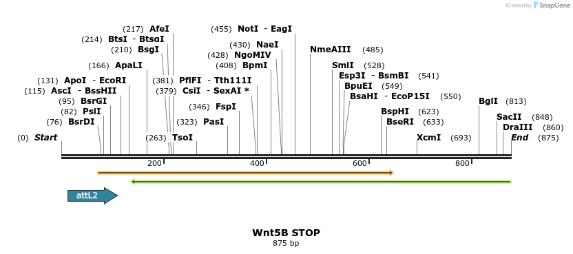 44605_map