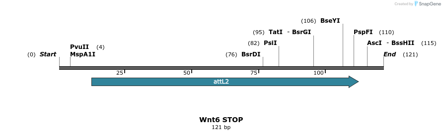 44606_map