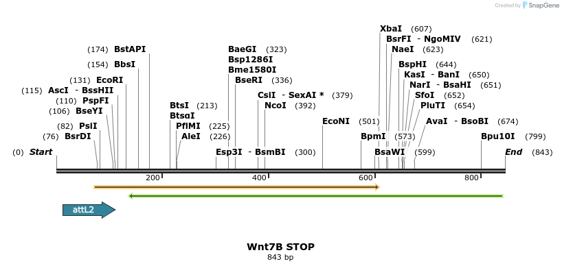 44609_map