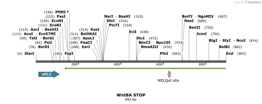 44611_map