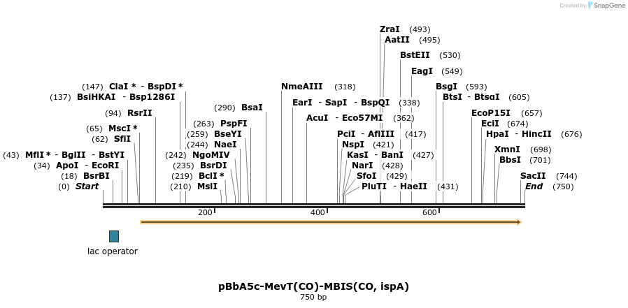 44612_map