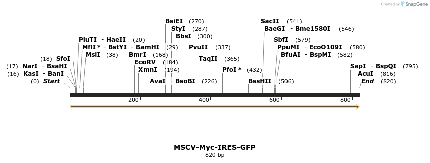 44617_map