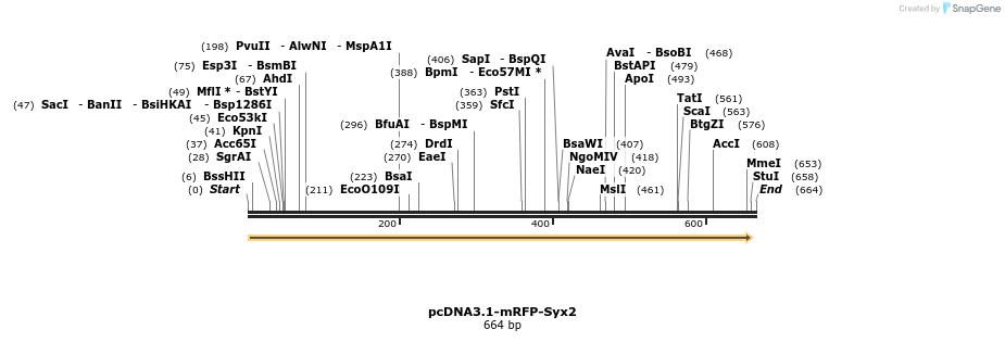 44624_map