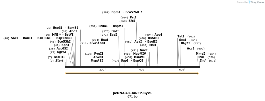 44627_map