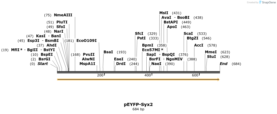 44631_map