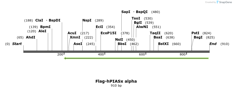 44640_map