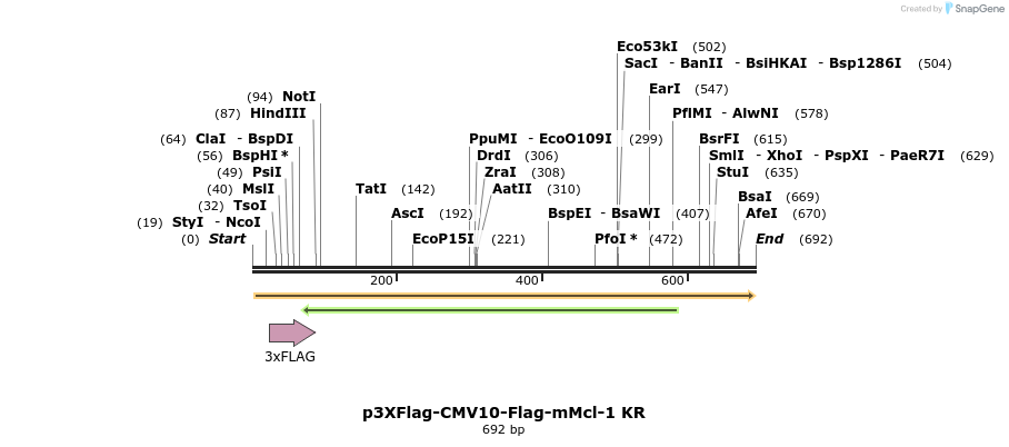 44654_map