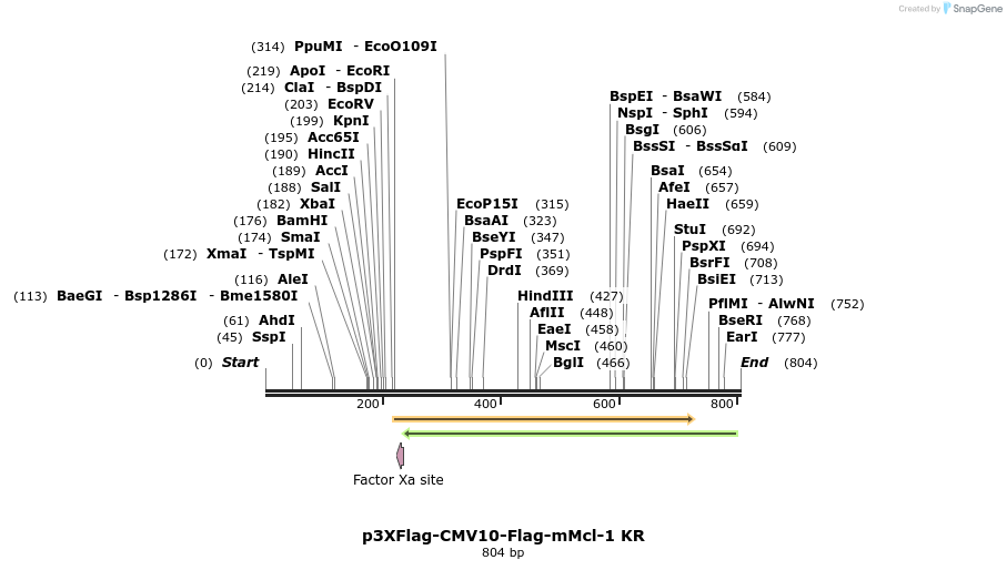 44655_map