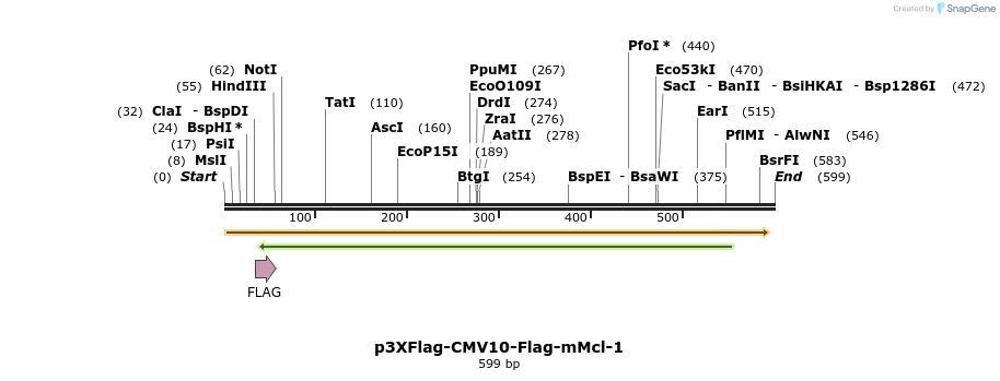 44662_map