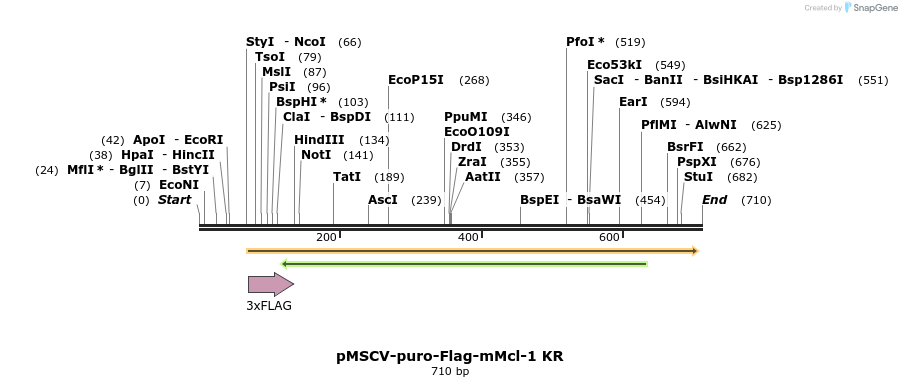 44664_map
