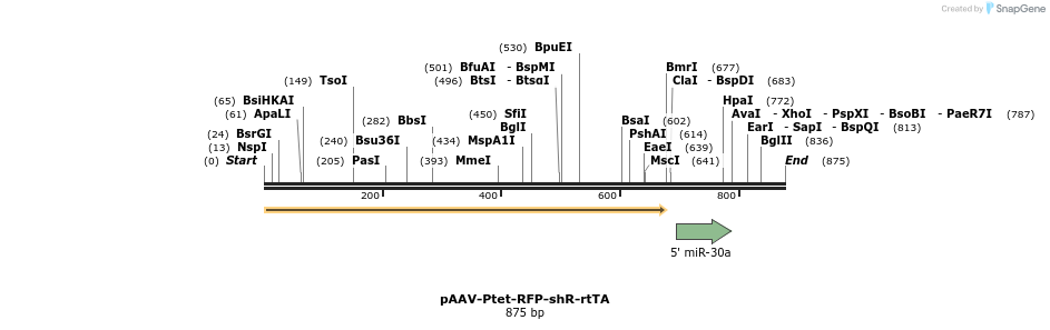 44668_map