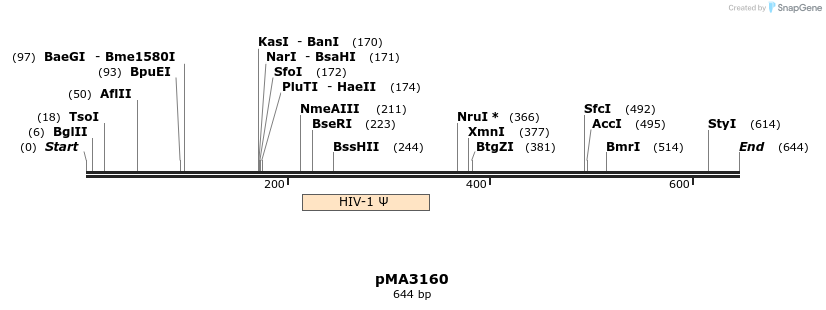 44675_map