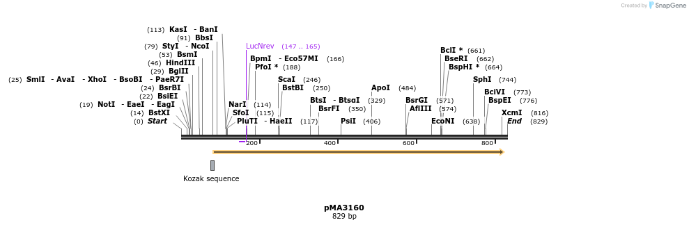 44676_map