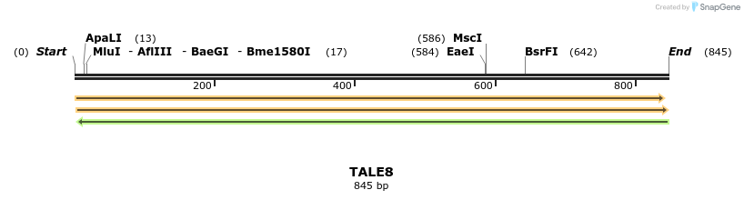 44677_map