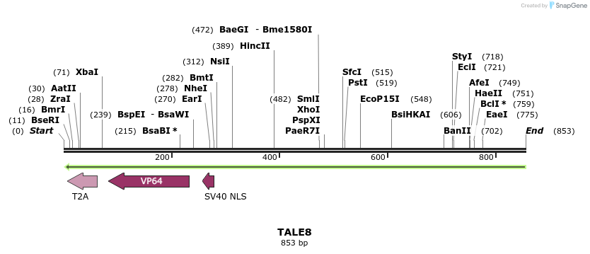 44678_map