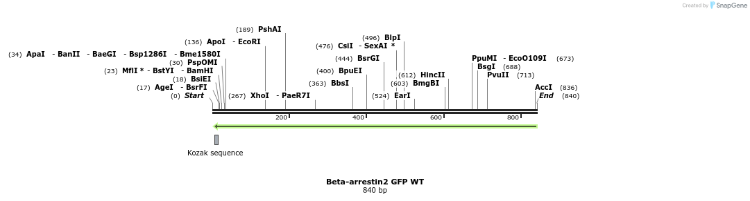 44681_map