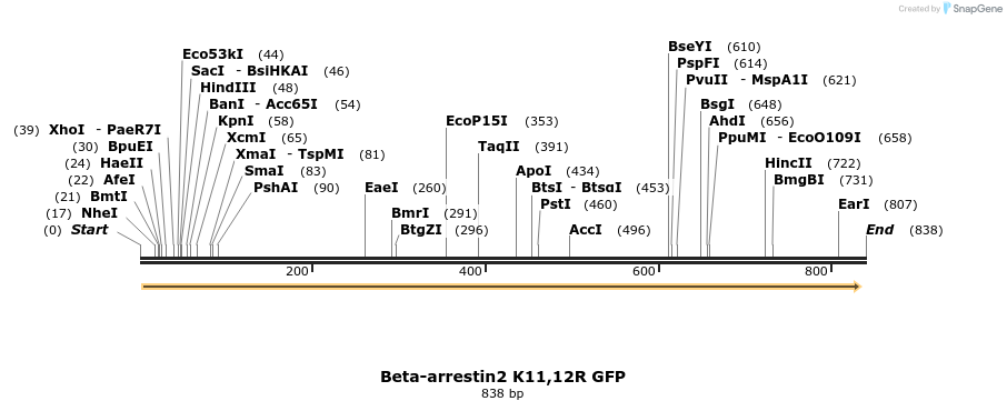44682_map