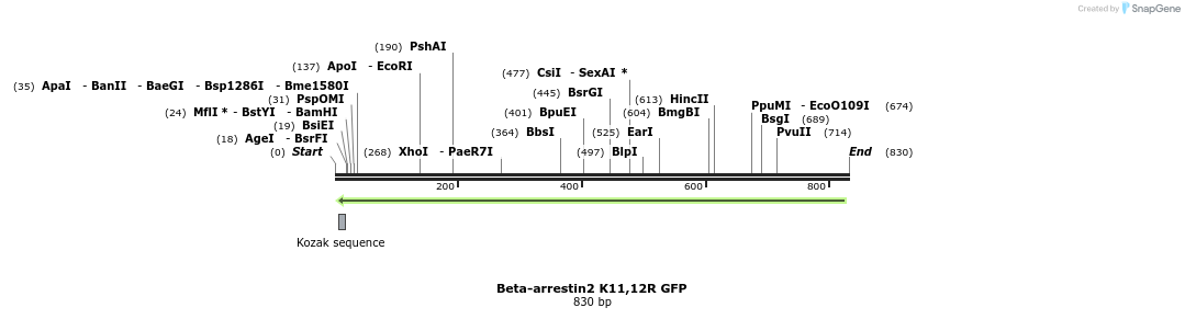 44683_map