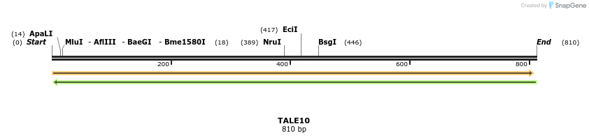 44686_map