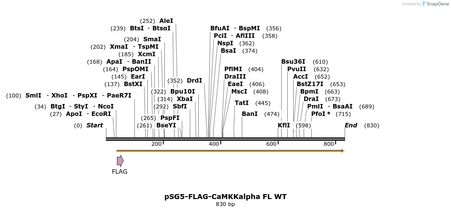 44691_map