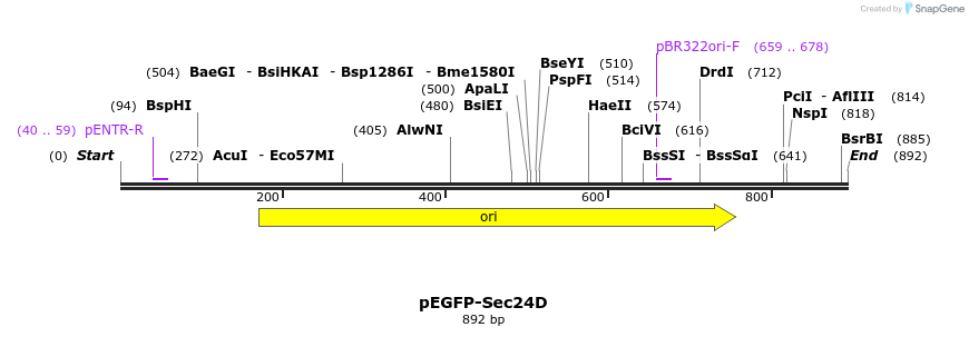 44694_map
