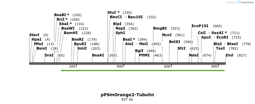 44700_map