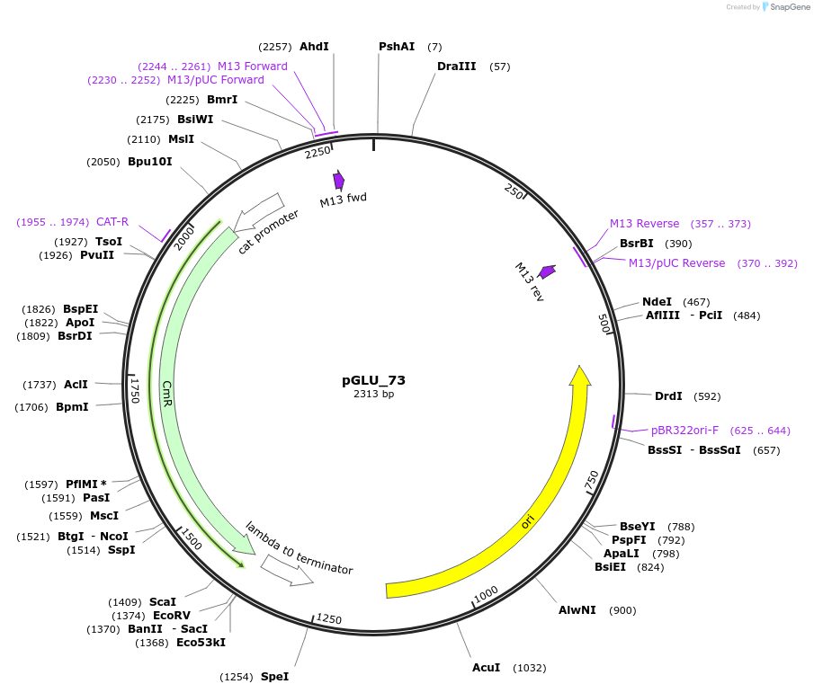 447014_map
