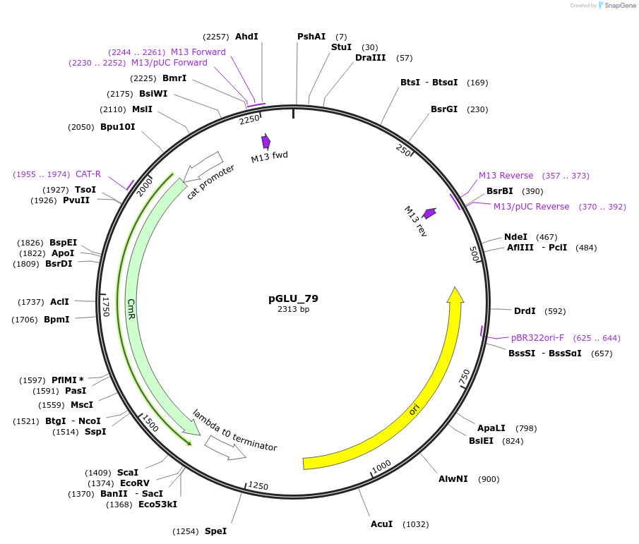 447015_map