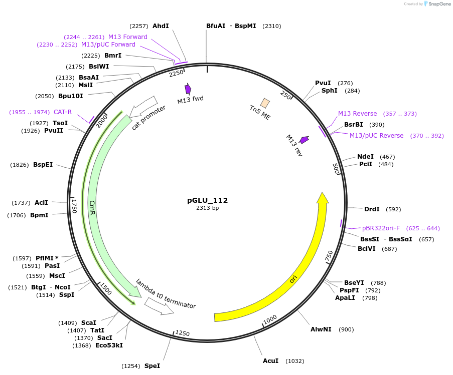 447017_map