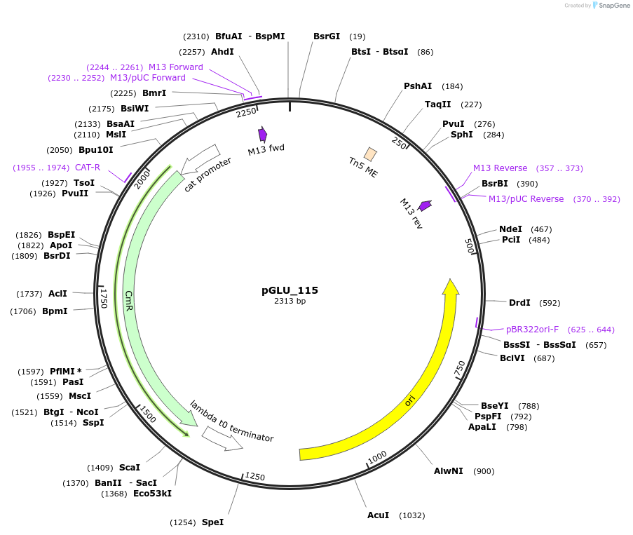 447018_map