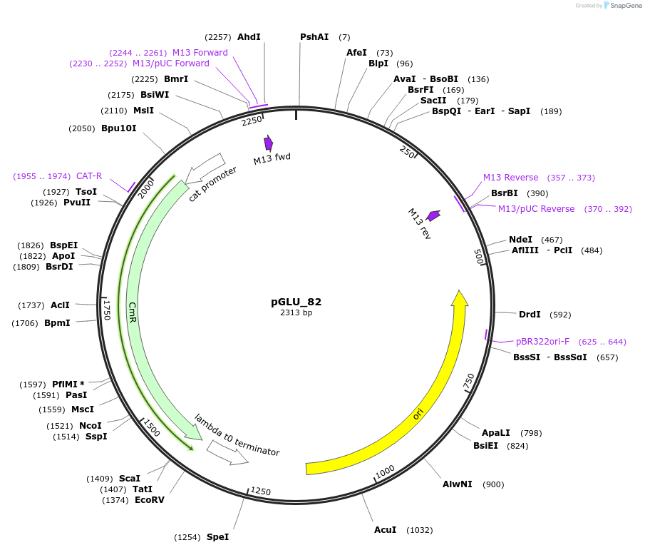 447020_map