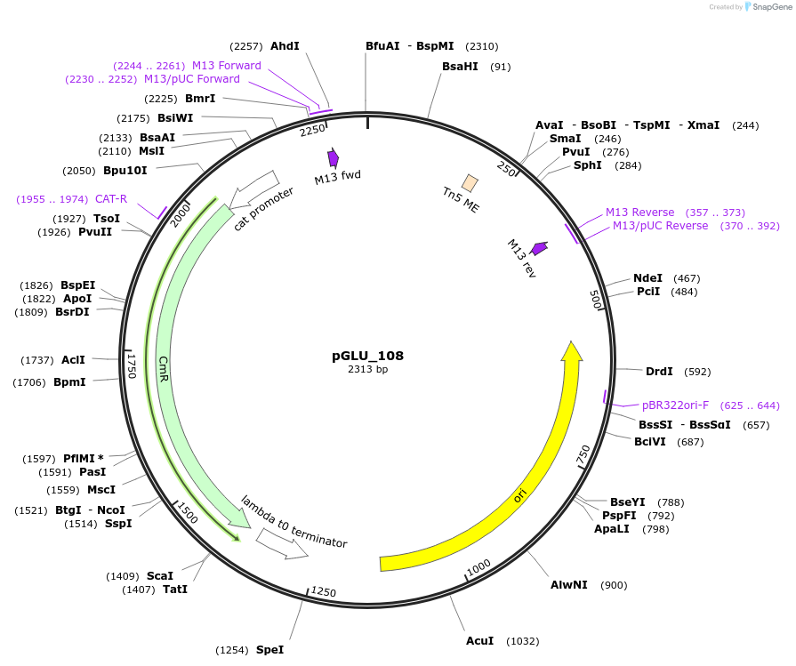 447022_map