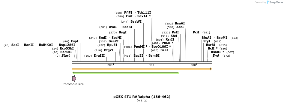 44703_map