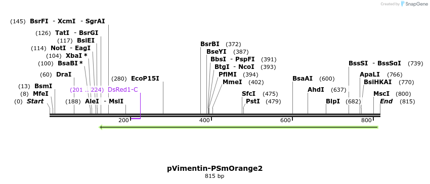 44704_map