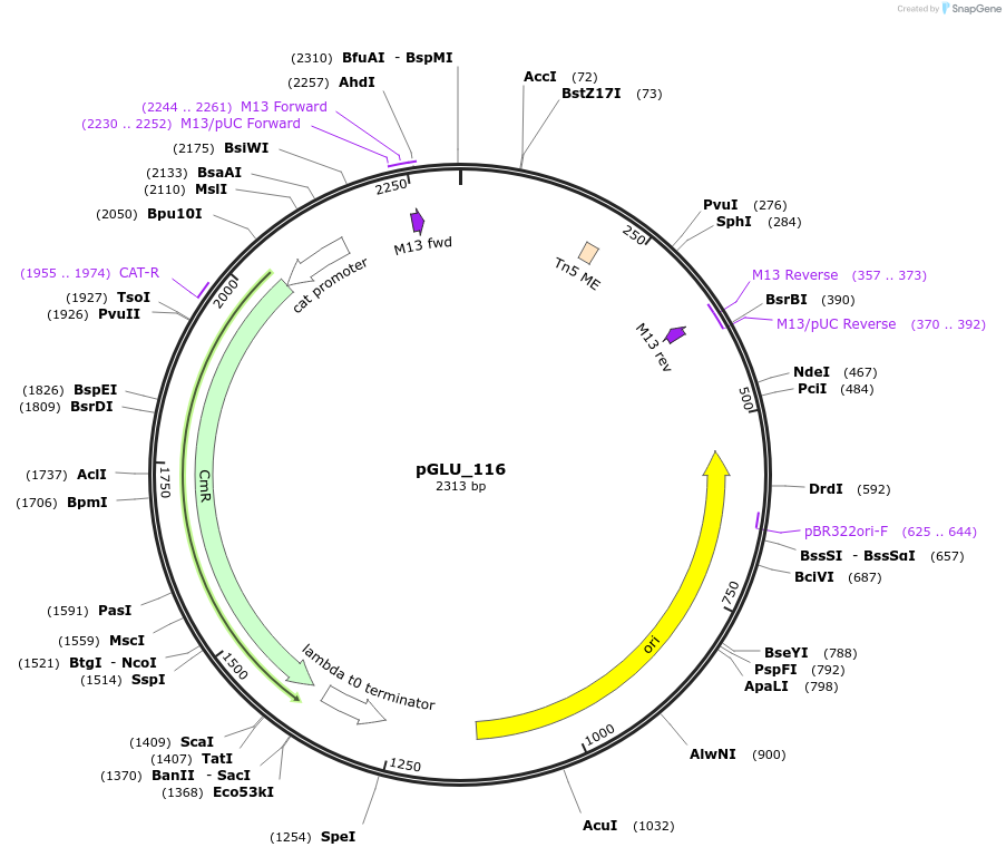 447051_map