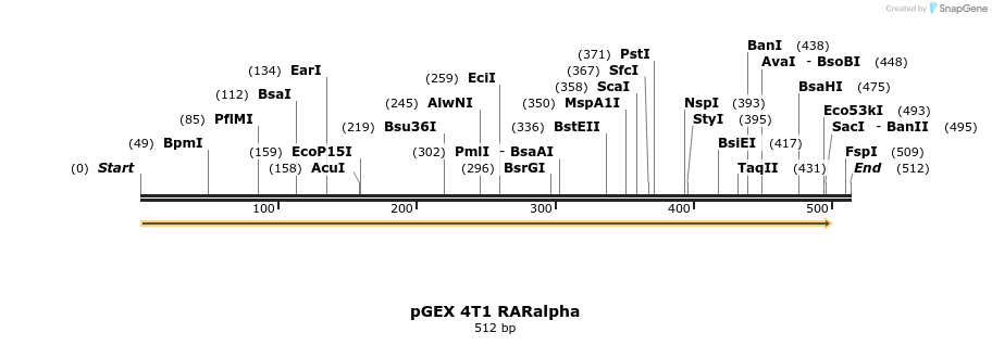44706_map