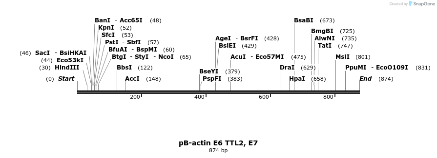 44708_map