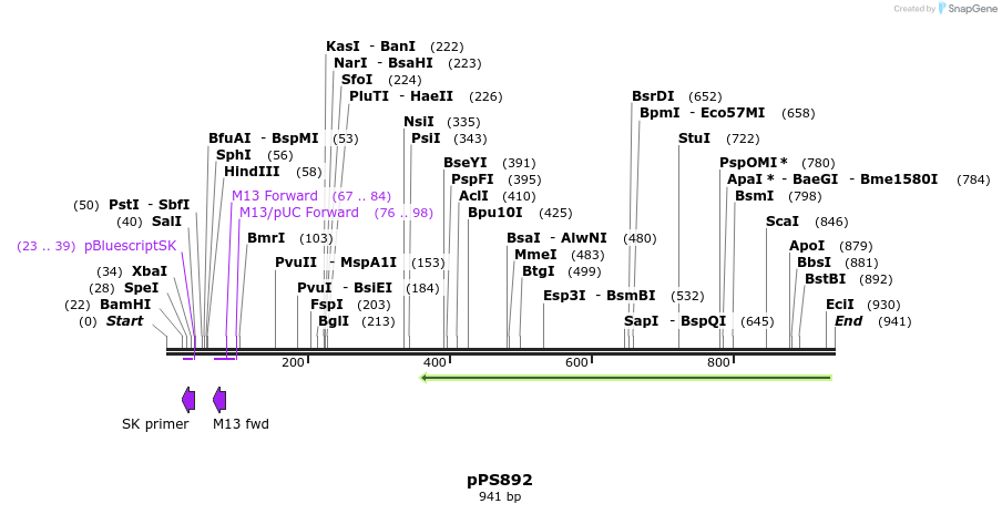44711_map